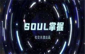 [2.3GB]社交光谱社长《SOUL掌握》