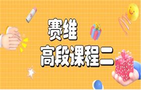 [1.1GB]《赛维高段课程二》39集音频