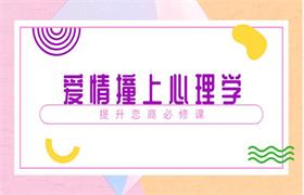 [23GB]赛维《爱情撞上心理学，提升恋商必修课》