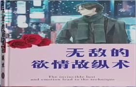 《无敌的欲情故纵术》pdf电子版/无水印