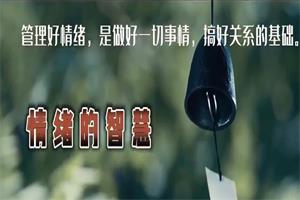 古老师《情绪管理》是你控制情绪还是情绪控制你