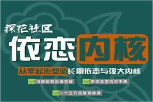 探花Gary-【依恋内核塑造长期依恋与强大内核依恋类型课回避型依恋破解】-49900圆-25节